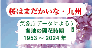 桜の開花と満開