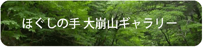 ほぐしの手　ギャラリー